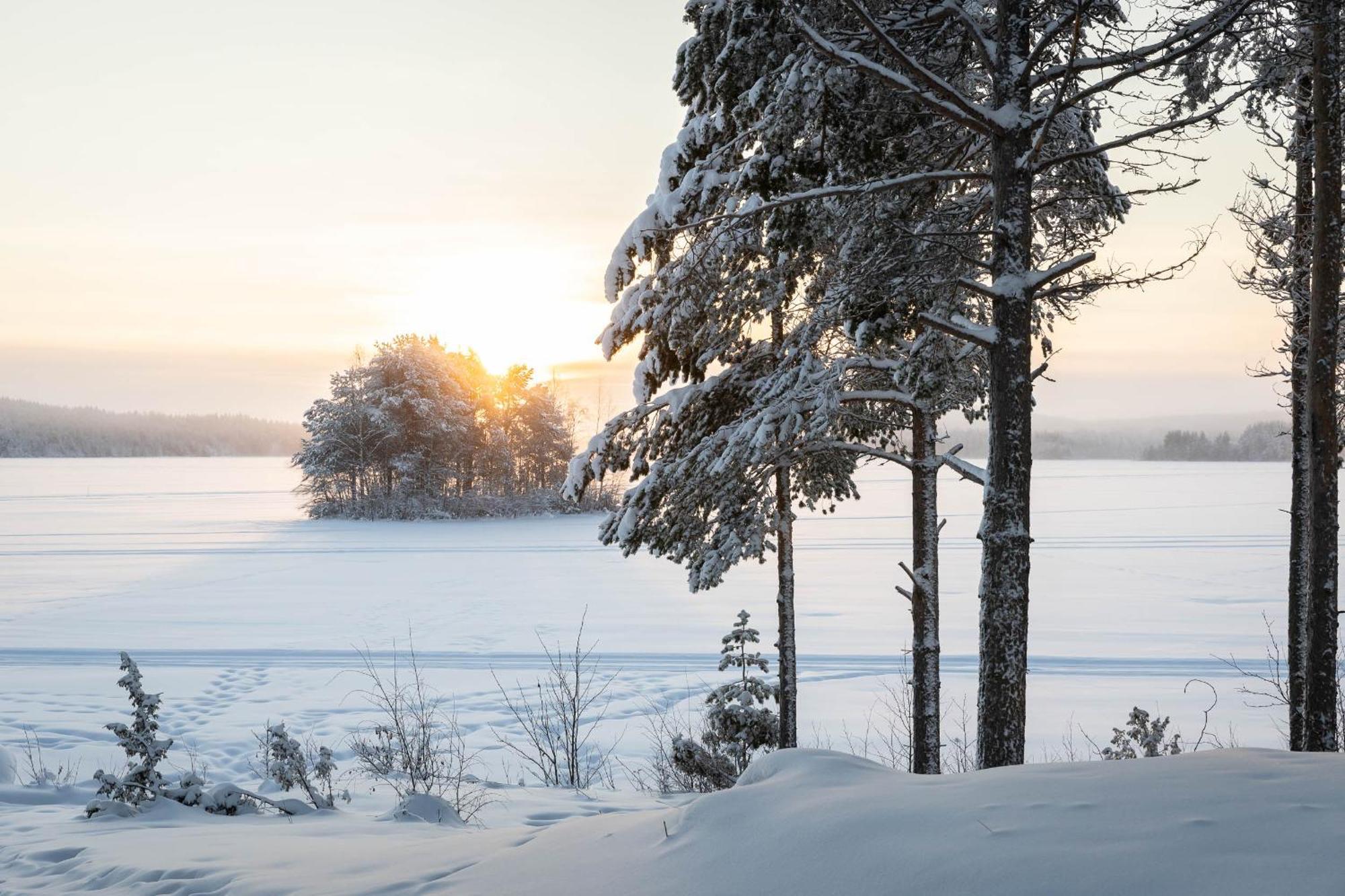 Lapland Arctic Cabins Kemijärvi Eksteriør bilde