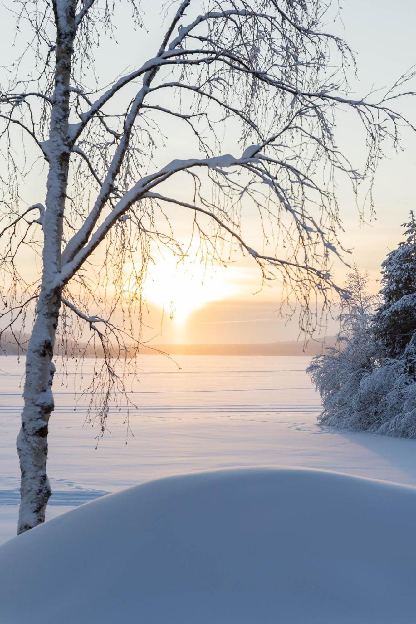 Lapland Arctic Cabins Kemijärvi Eksteriør bilde